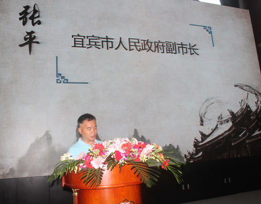 宜宾市人民政府副市长张平发言