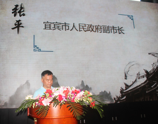 3宜宾市副市长张平讲话