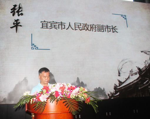 3宜宾市副市长张平讲话