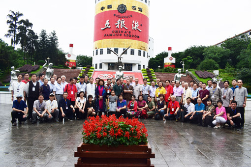 苏作光老师等艺术家参观五粮液集团留影