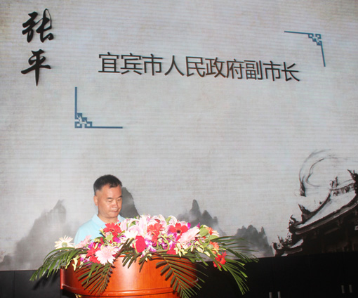 4宜宾市人民政府副市长张平讲话