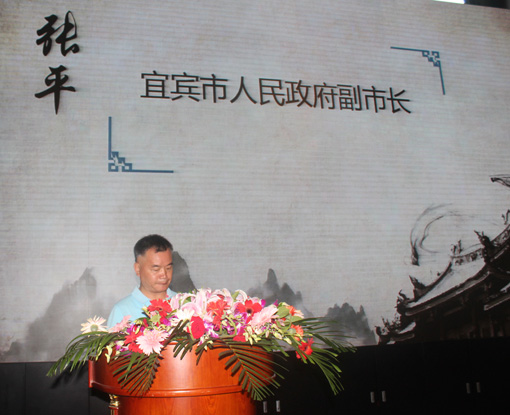 宜宾市副市长张平讲话