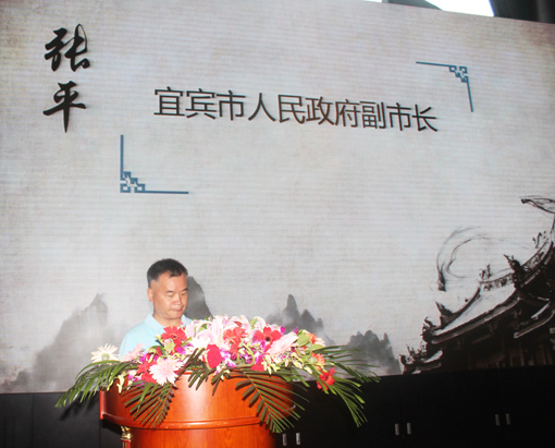 4宜宾市人民政府副市长张平讲话