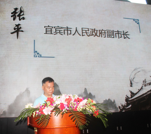 3宜宾市人民政府副市长张平讲话