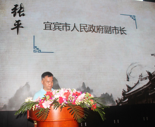 4宜宾市人民政府副市长张平讲话