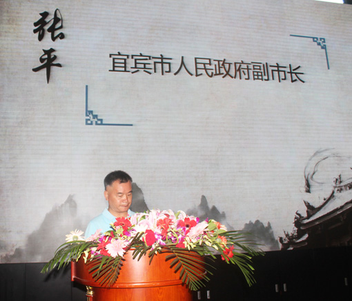 4宜宾市人民政府副市长张平讲话