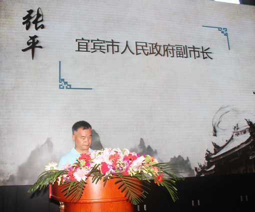 4宜宾市人民政府副市长张平讲话