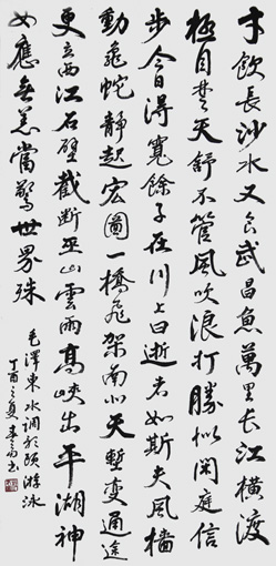 毛泽东词 水调歌头 游泳 138cm×69cm