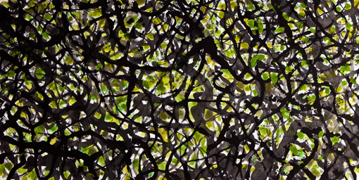 苏晓彬作品欣赏7