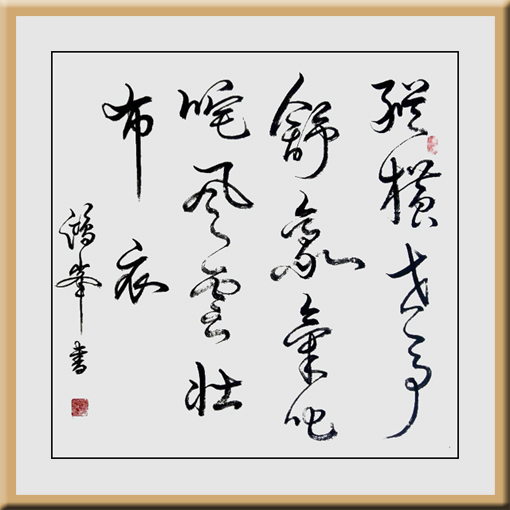 《纵横世事舒豪气 叱咤风云壮布衣》