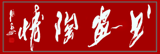 张兵作品9 张兵作品9