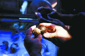 挑选核桃的四大要素