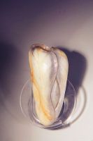 古玩“白菜”不寻常