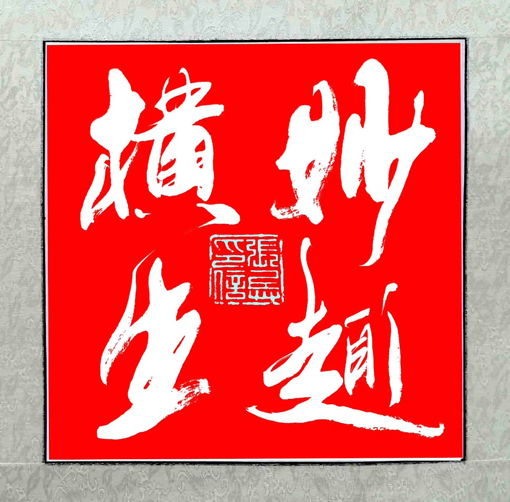 张兵作品《妙趣横生》规格：50cmx50cm