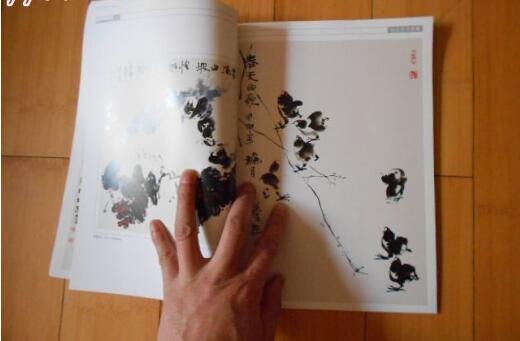 书画集