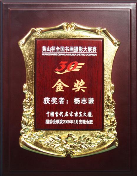 2009年安徽合肥黄山杯全国书画摄影大赛荣获“金奖”