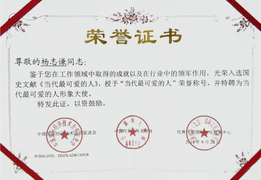 2013年授予“最受喜爱的人”