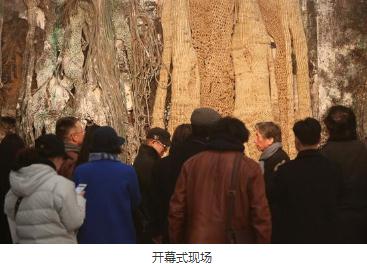 触目：郭振宇艺术作品展在今日美术馆开幕