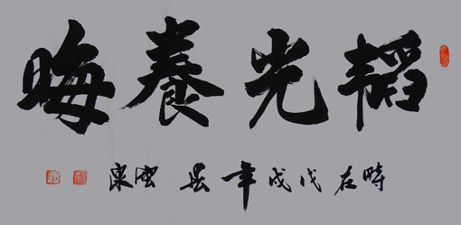 《韬光养晦》 《韬光养晦》