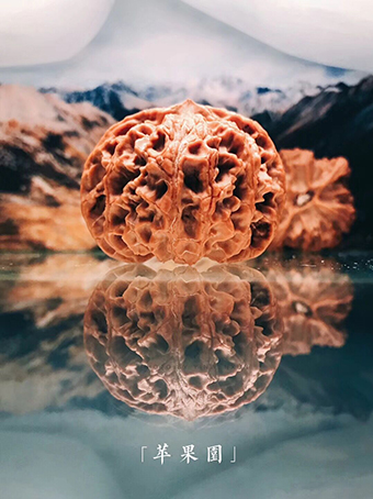  核为何物