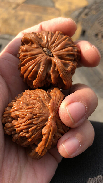  核为何物