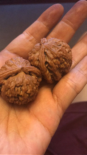  核为何物