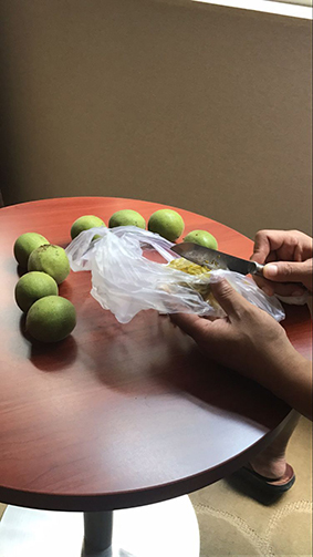  核为何物