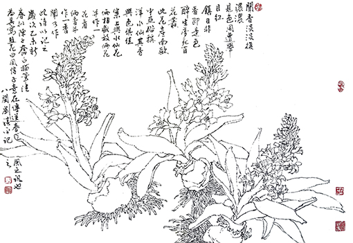 《风信子花》闻香淡淡复浓浓，见色周遭举目红，镇日非香即是色，醉生梦死百花丛！