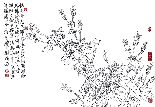 《漏斗菜》偶见奇花未解思，寻究笑问濒湖知，为怜何碍花娇小，许与牡丹共入诗。