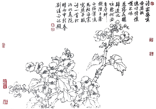 《秋海棠花》诗家感叹爱悲秋，总付情怀喋不休，花落花开归造化，咏愁何必自寻纠。