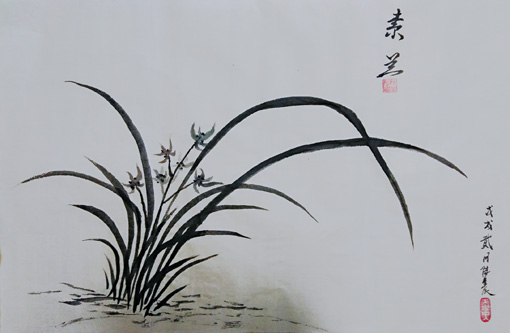《素兰》