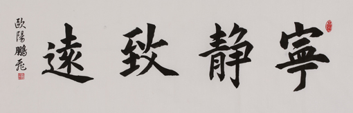 欧阳鹏飞作品2