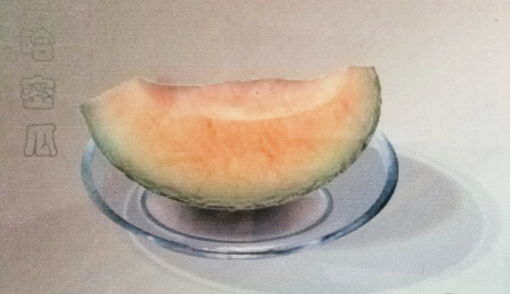 《哈密瓜》电脑ps手绘作品