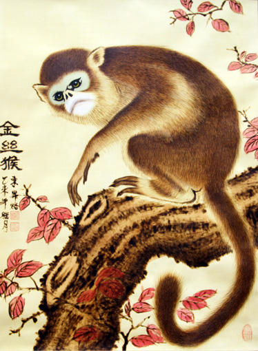 《金丝猴》