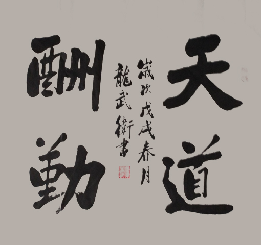 龙武卫作品8