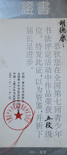 1991年全国第七回青少年书法评定活动五段（最高六段）