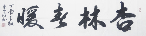 《杏林春暖》