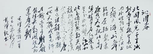 《沁园春·雪》