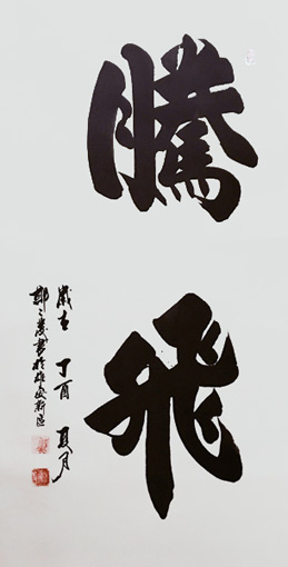 《腾飞》