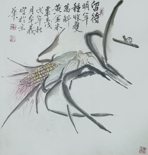 娄本义作品《黄金米》