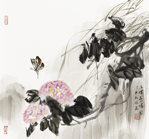《小蝶弄晴》49x52cm