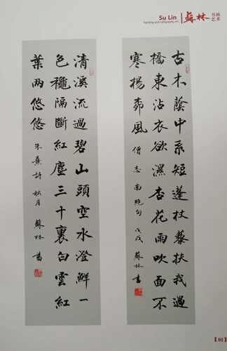 苏林作品1 苏林作品1