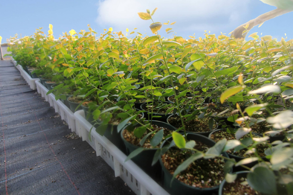 1765176934199632.jpg 1.jpg