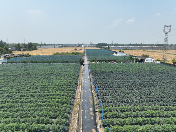 1765176957994662.jpg 2.jpg