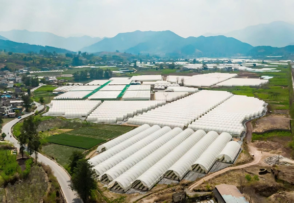 1765176975853275.jpg 3.jpg