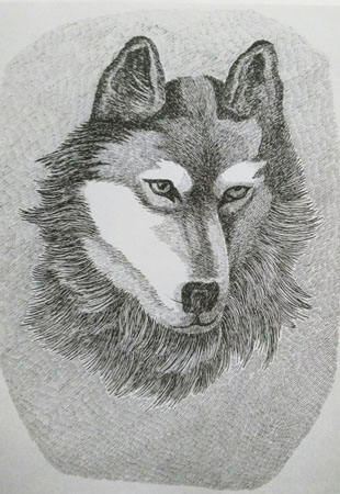 《沉思的狼》55×45cm